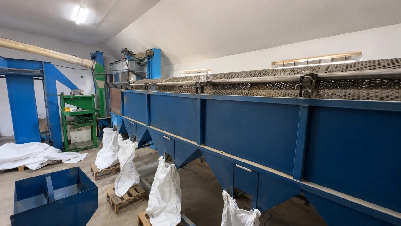 Our processing line 3