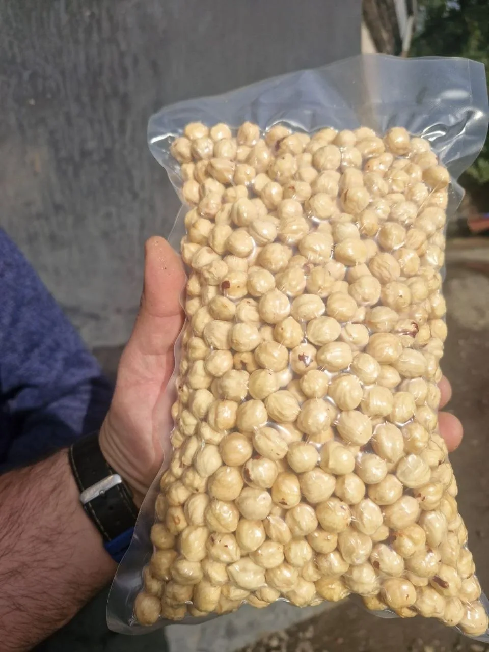 Roasted hazelnut kernels, shelled