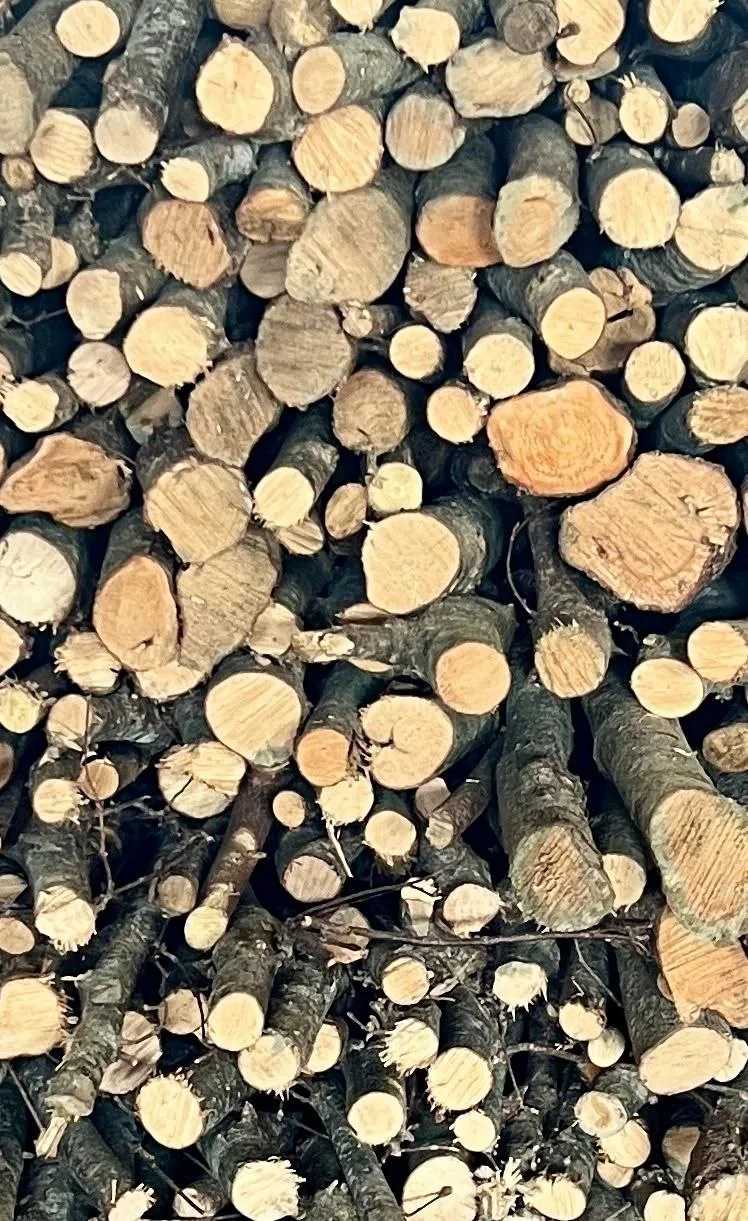 Hazelnut firewood